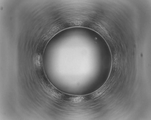 X0000059220122200510141022
