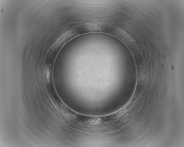 X0000059220124200510141022