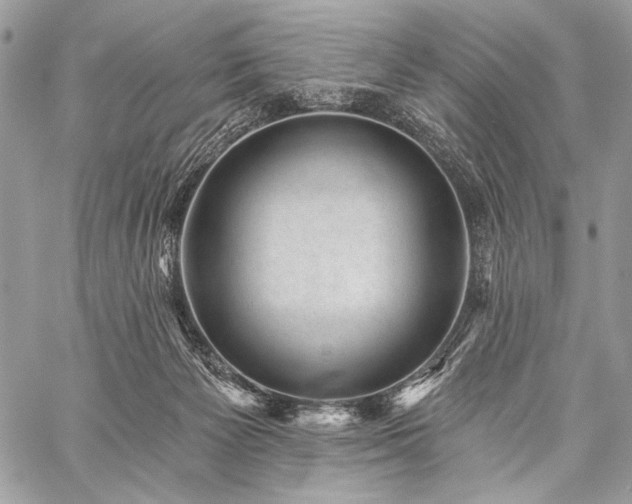 X0000059220125200510141022