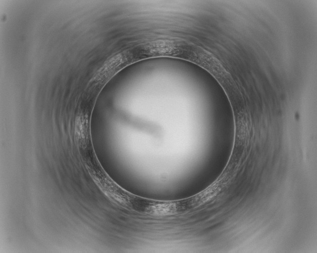 X0000059220126200510141022