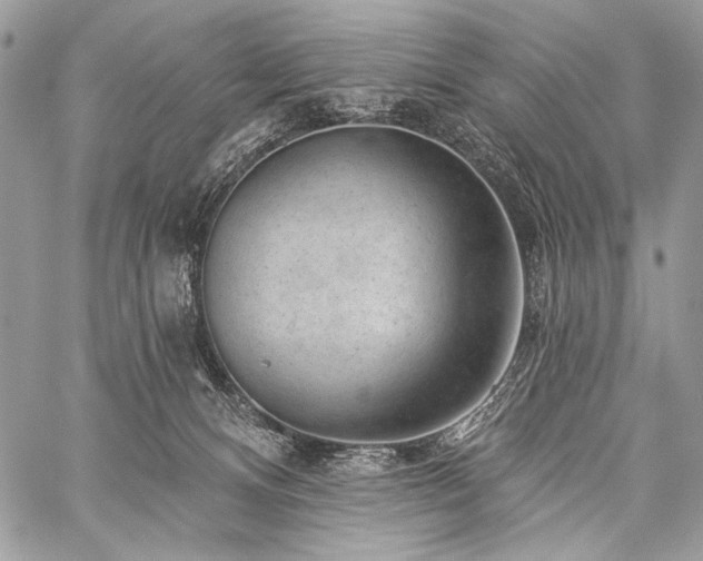 X0000059220128200510141022