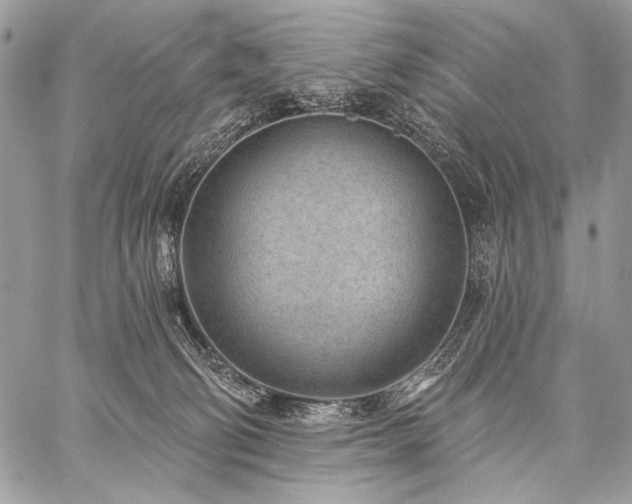 X0000059220130200510141022