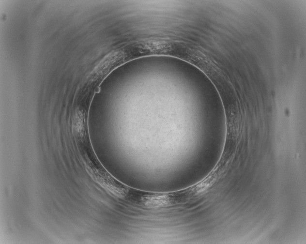 X0000059220132200510141022
