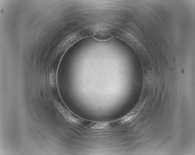 X0000059220138200510141022