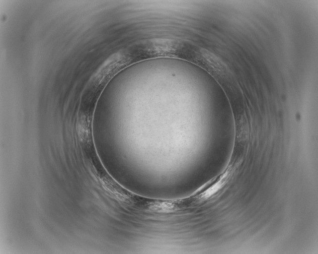 X0000059220140200510141022