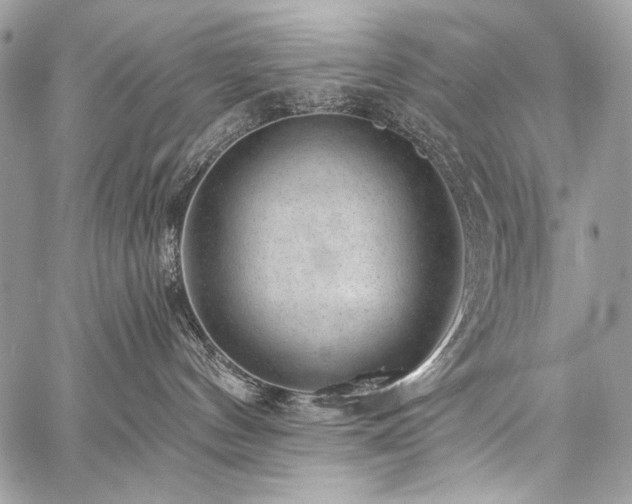 X0000059220144200510141022