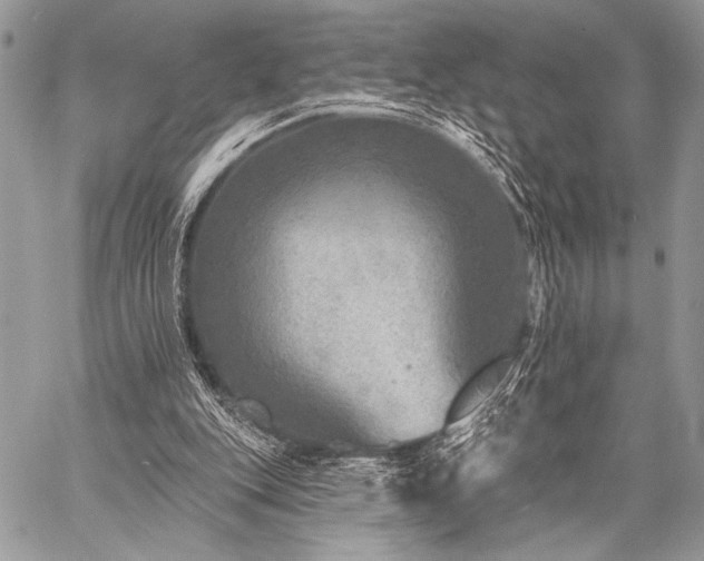 X0000059220151200510141021