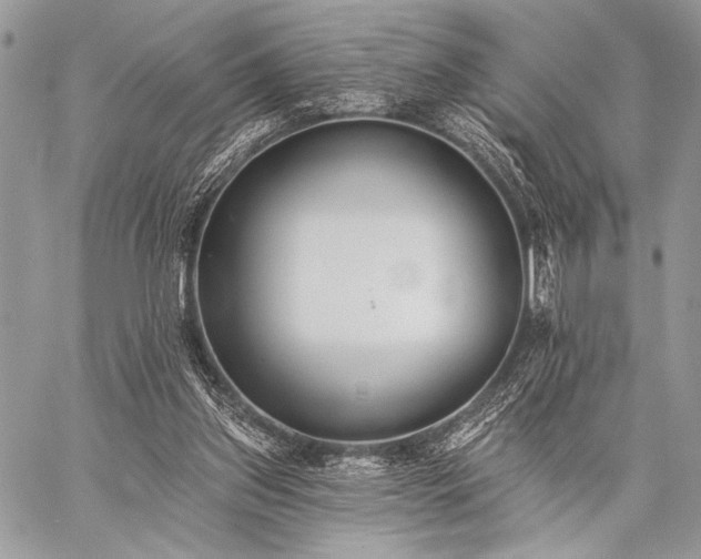 X0000059220157200510141021
