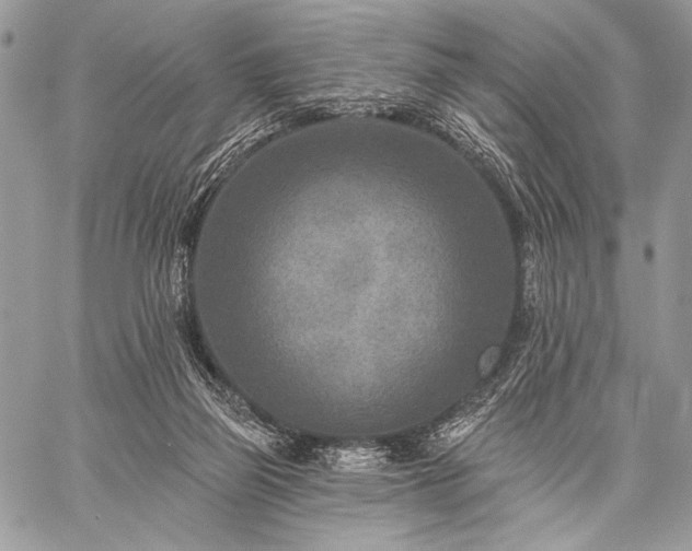 X0000059220165200510141021