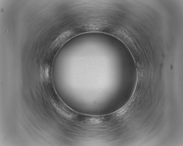 X0000059220166200510141021