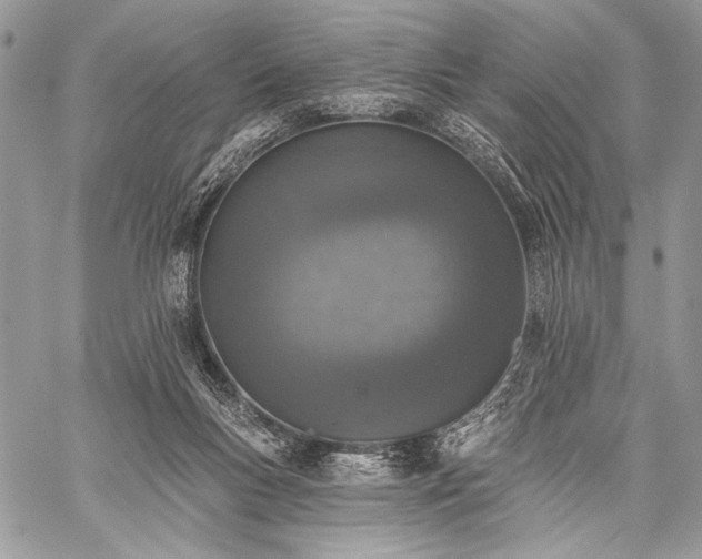 X0000059220167200510141021