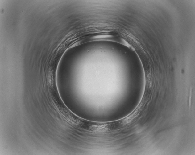 X0000059220170200510141021