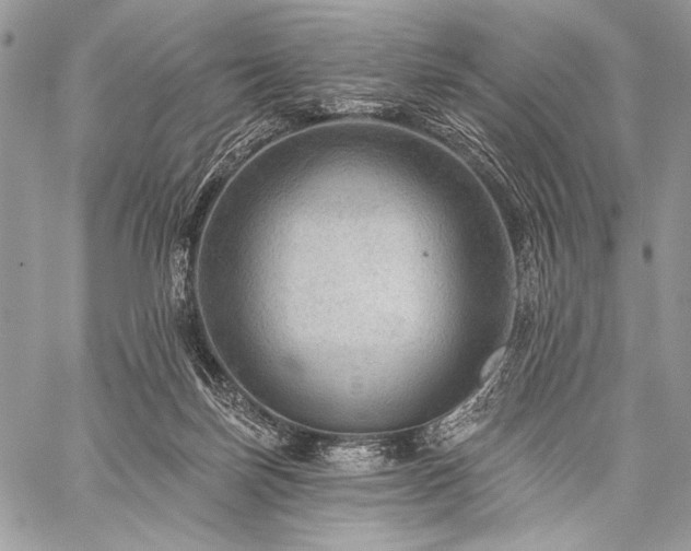 X0000059220171200510141021