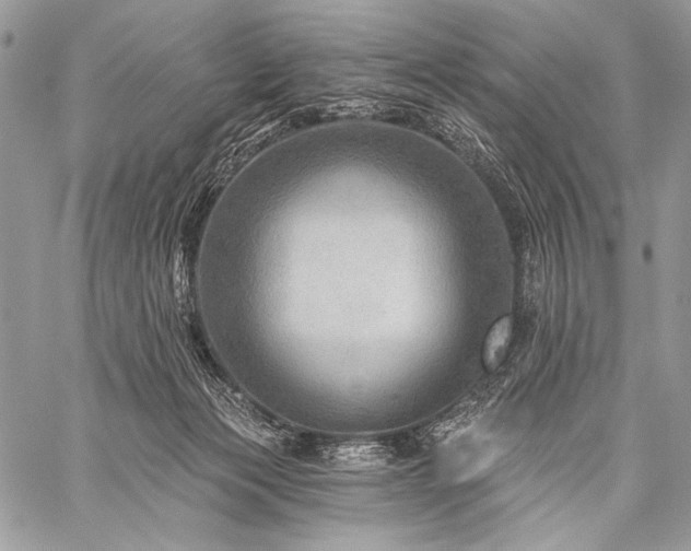 X0000059220173200510141021