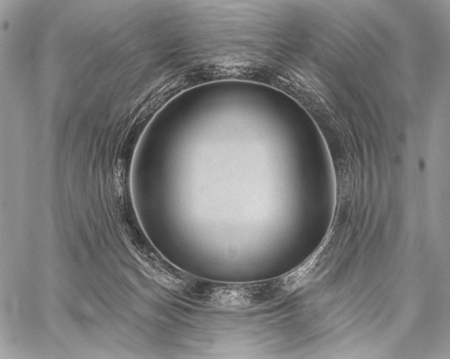 X0000059220174200510141021