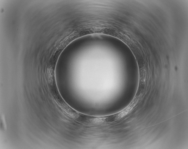X0000059220184200510141021