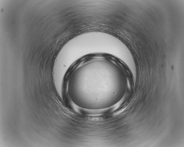 X0000059220185200510141021