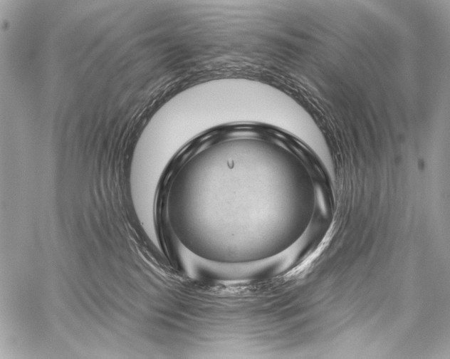 X0000059220186200510141021