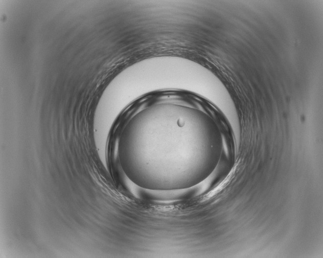 X0000059220187200510141021
