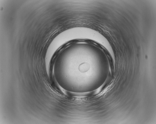 X0000059220188200510141021