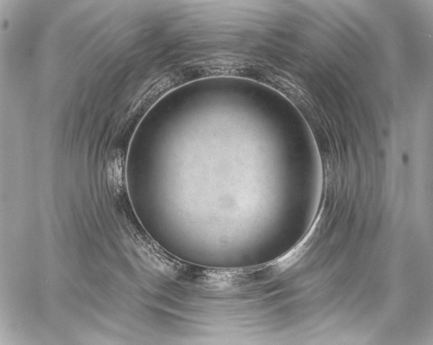 X0000059220190200510141022