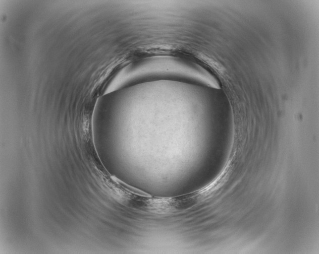 X0000059220192200510141022