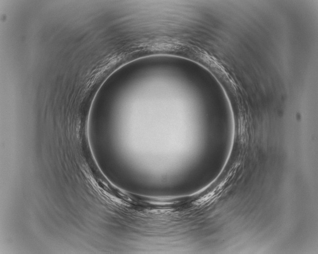 X0000059220201200510141021