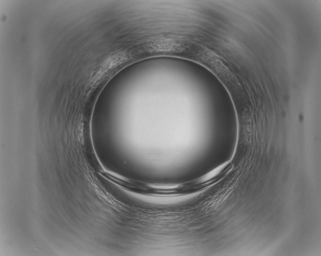 X0000059220207200510141021