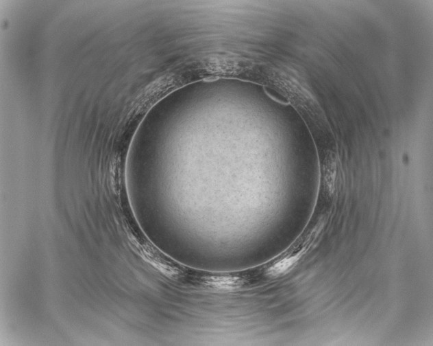 X0000059220233200510141020