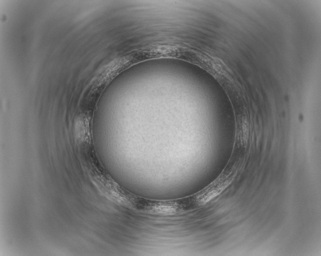 X0000059220236200510141020