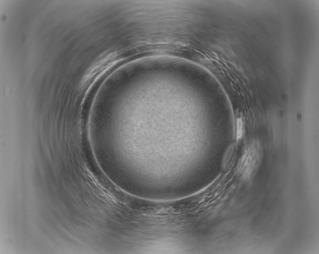 X0000059220243200510141019
