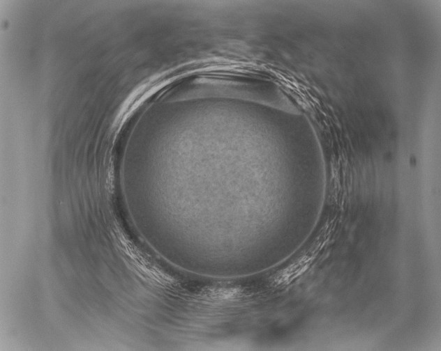 X0000059220247200510141019
