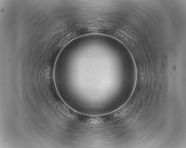 X0000059220275200510141020