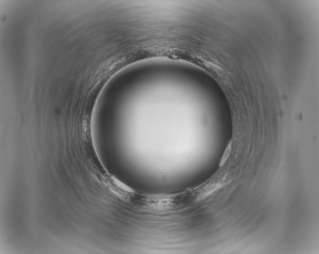 X0000059220288200510141020