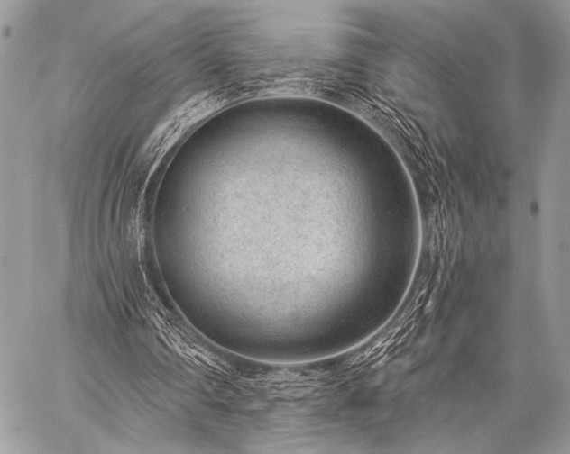 X0000059220290200510141019
