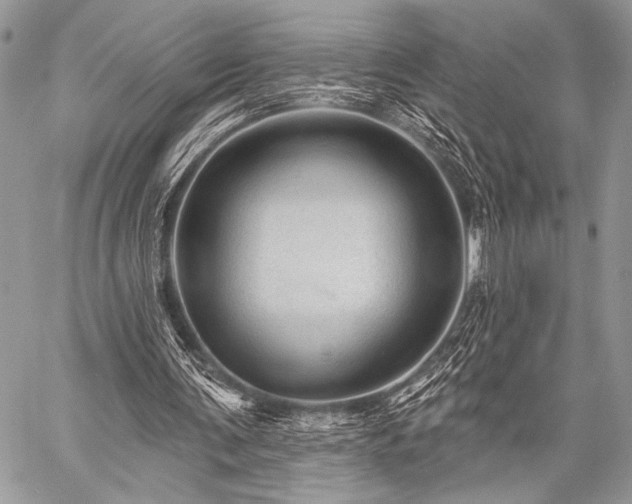 X0000059220291200510141019