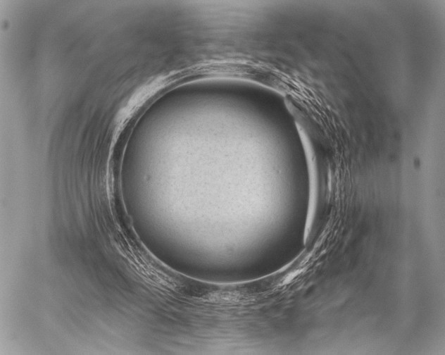 X0000059220294200510141019
