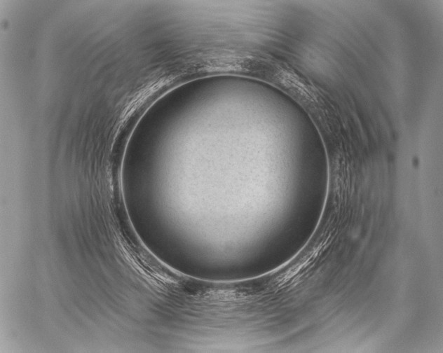 X0000059220298200510141019