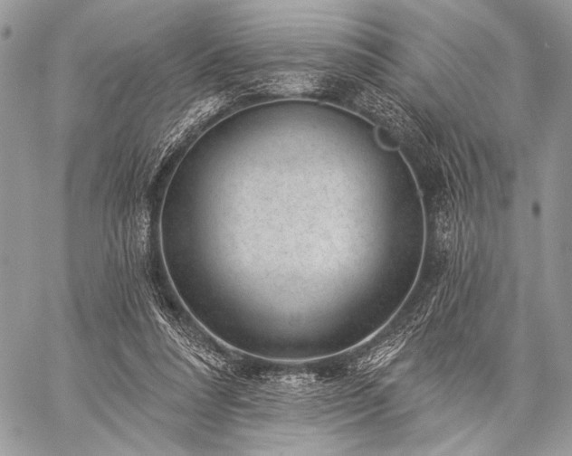 X0000059220304200510141019