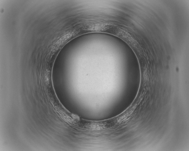 X0000059220305200510141019