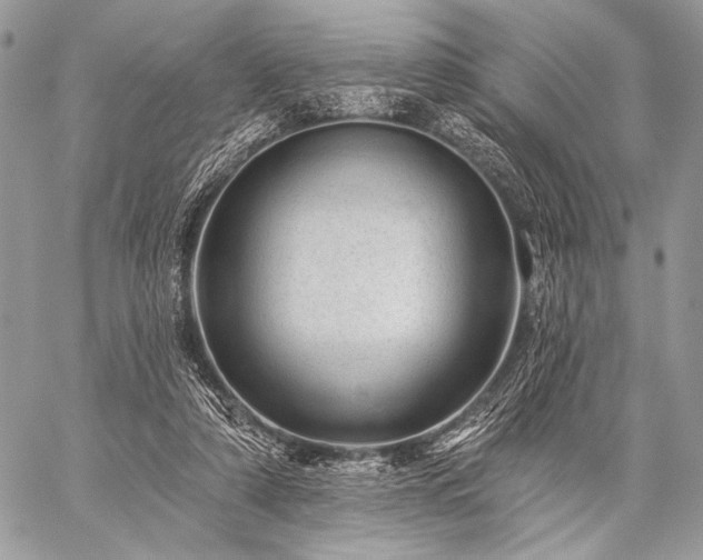 X0000059220306200510141019