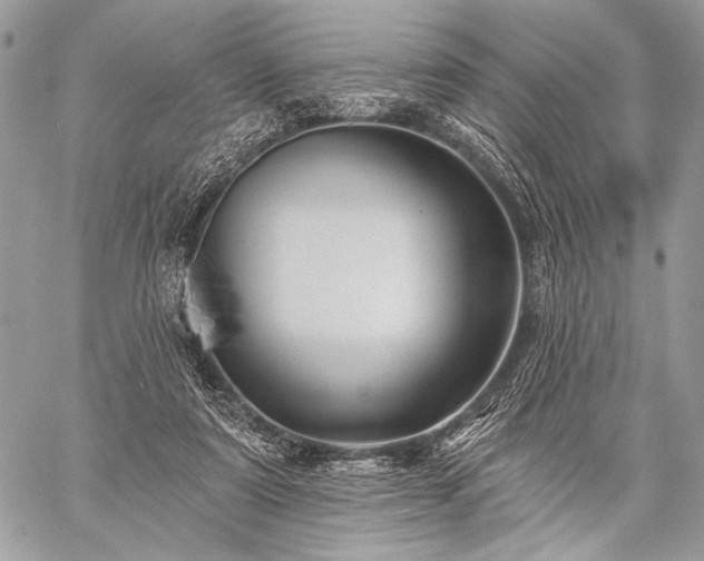 X0000059220307200510141019