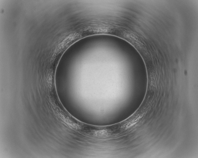 X0000059220309200510141019