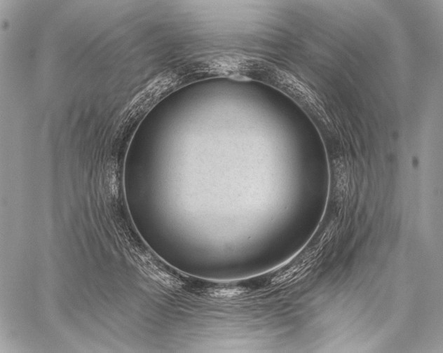 X0000059220313200510141019