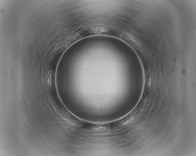 X0000059220315200510141019