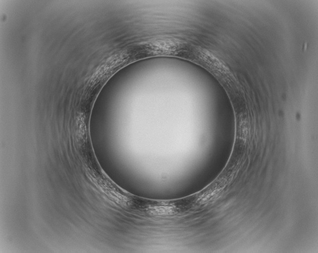 X0000059220318200510141019