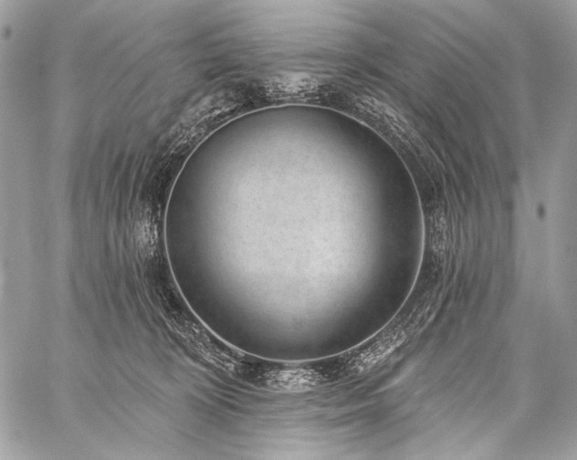 X0000059220324200510141019