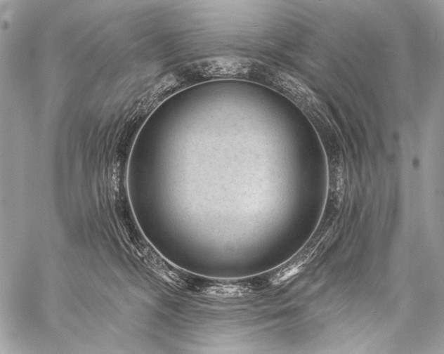 X0000059220326200510141019