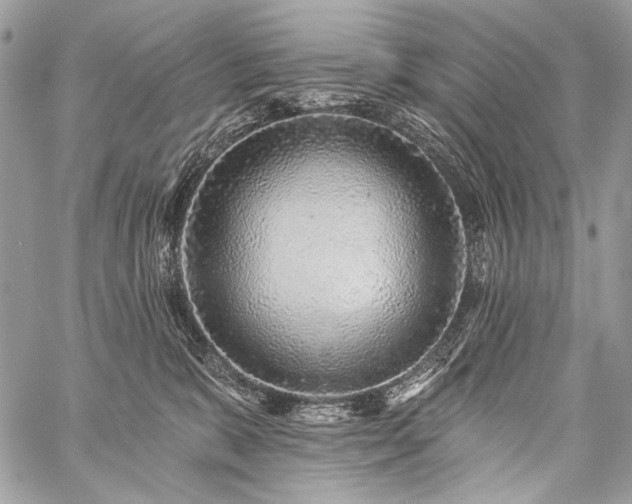 X0000059220327200510141019