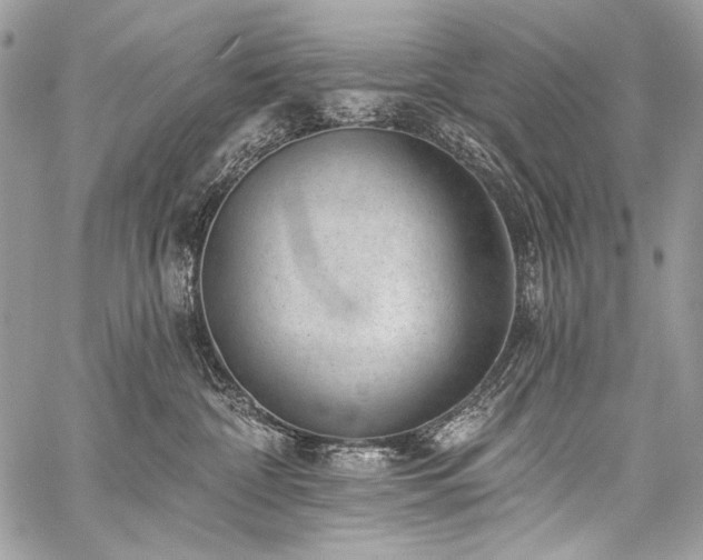 X0000059220332200510141018